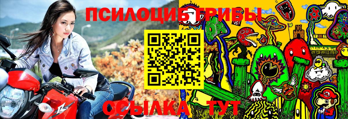 Галлюциногенные грибы мицелий  Вход с VPN  Азнакаево  Галлюциногенные грибы Magic Shrooms 